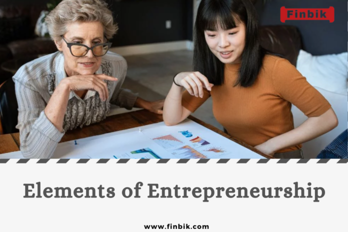 Elements Of Entreprenurship