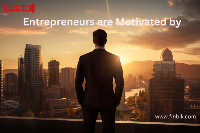 Entrepreneur are motivated by