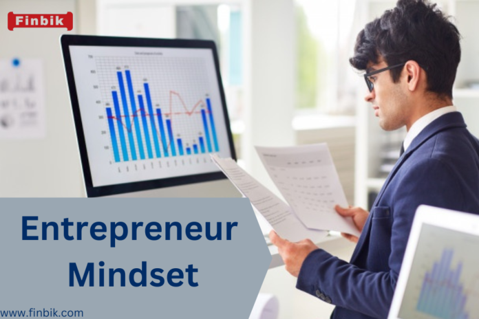 Entrepreneur mindset