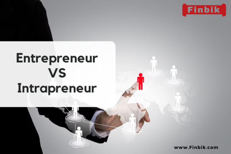 Entrepreneur vs Intrapreneur