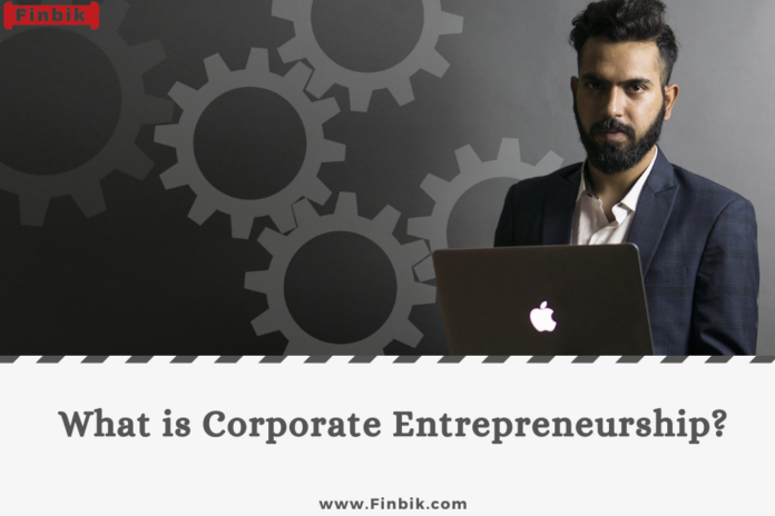 What is Corporate Entrepreneurship