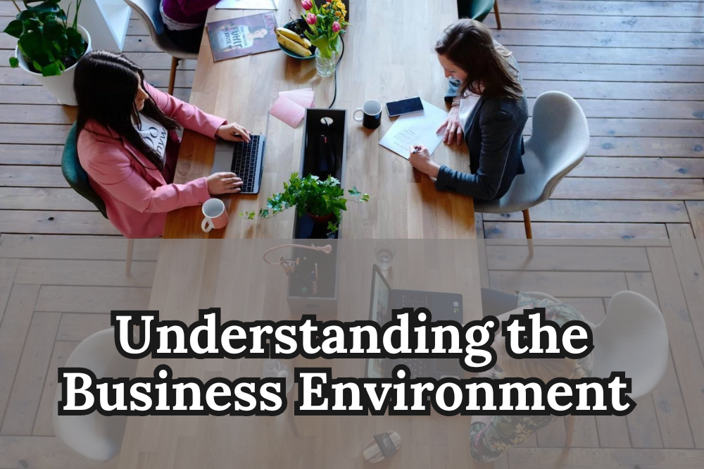 Understanding the Business Environment- Detailed Guide