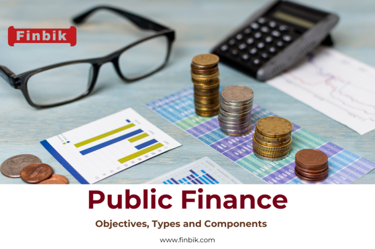 Public Finance